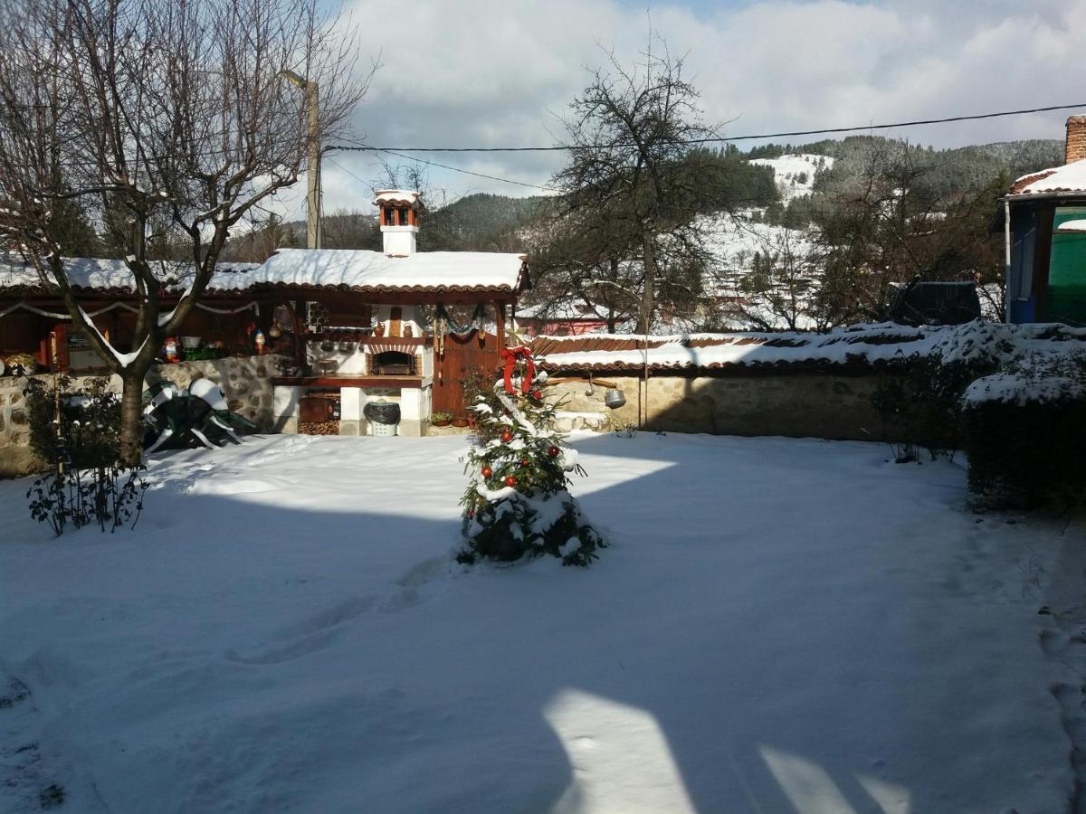 Guest House Bolyarka Koprivsjtitsa Eksteriør bilde